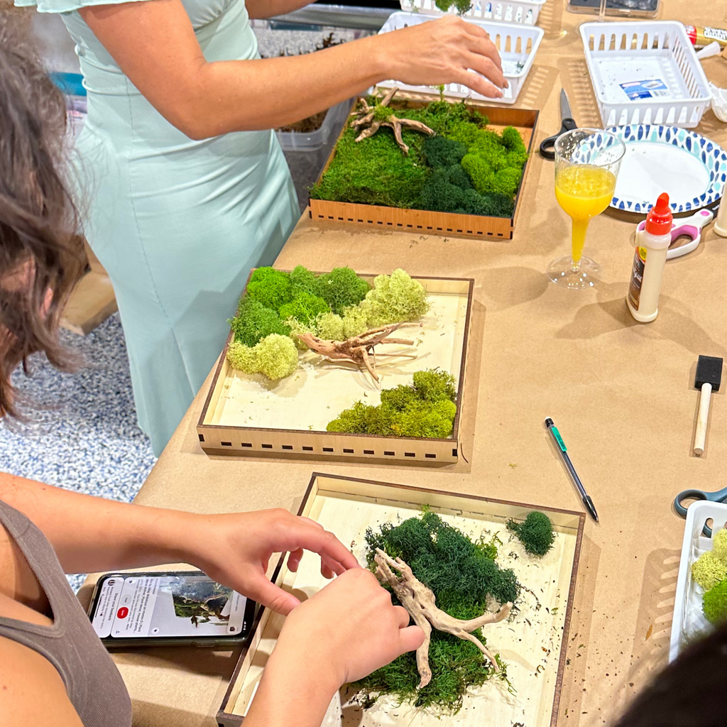 Moss Art Frame Workshop - August 20th at 6 PM