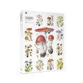Mushrooms 1000 Piece Jigsaw Puzzle Pomegranate