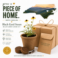 North Carolina Wildflower Grow Kit