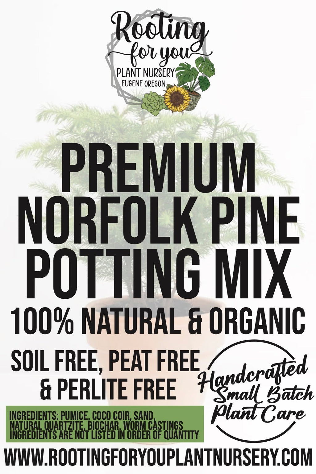 Norfolk Pine Premium Potting Mix