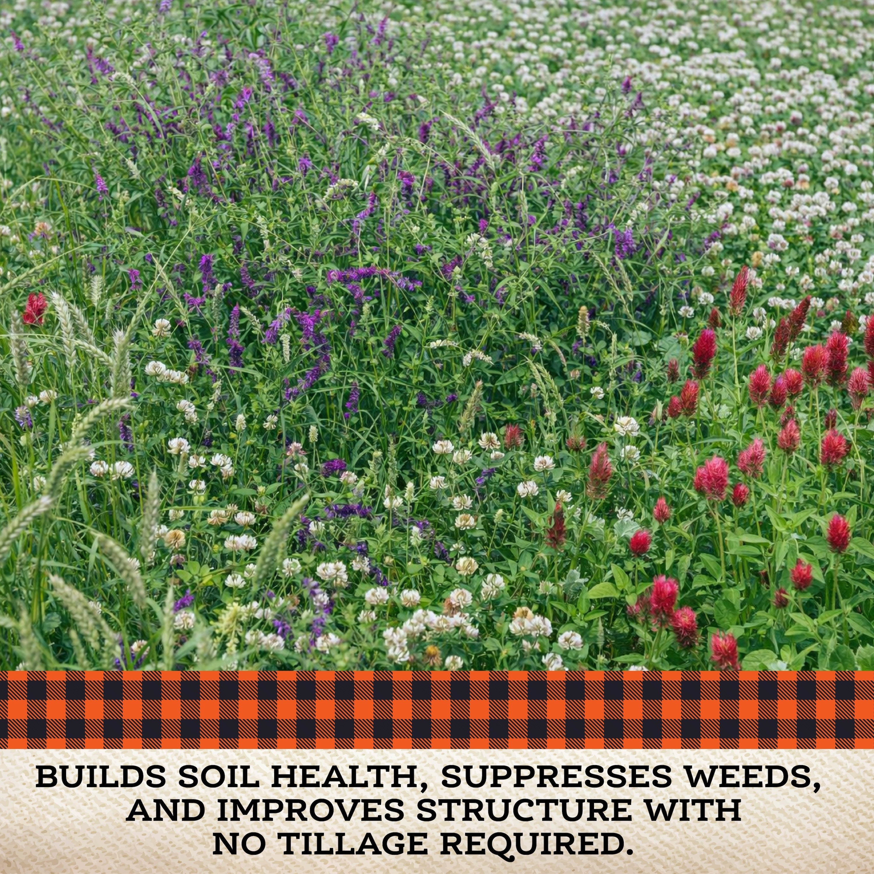 No Till Cover Crop Mix