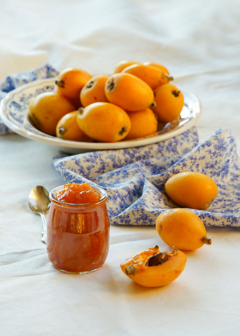 Loquat 'Italy' (Eriobotrya japonica)