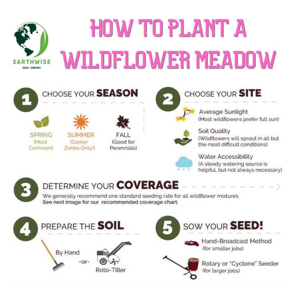 Northeast Native & Naturalized Wildflower Mix