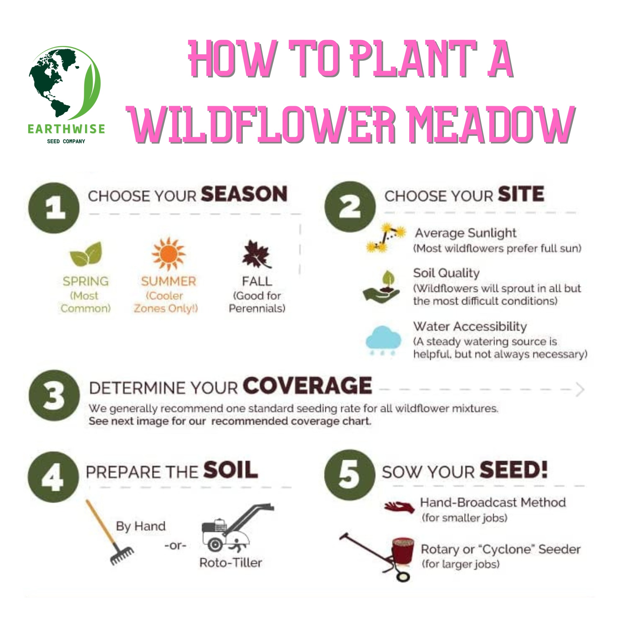 Northeast Native & Naturalized Wildflower Mix