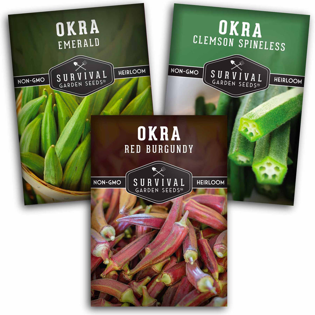 Okra Seed Collection – Red Burgundy, Clemson Spineless, and Emerald for Heat-Loving, High-Yield Summer Harvests