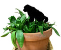 Old English Sheepdog Ornament or Plant Stake (4)