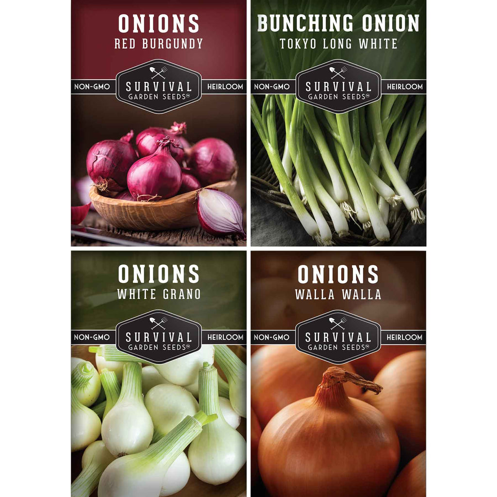 Onion Seed Collection – Red Burgundy, White Grano, Walla Walla & Tokyo Long White Bunching for Season-Long Flavor