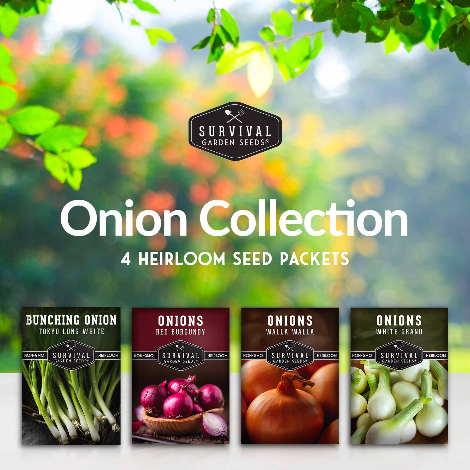 Onion Seed Collection – Red Burgundy, White Grano, Walla Walla & Tokyo Long White Bunching for Season-Long Flavor