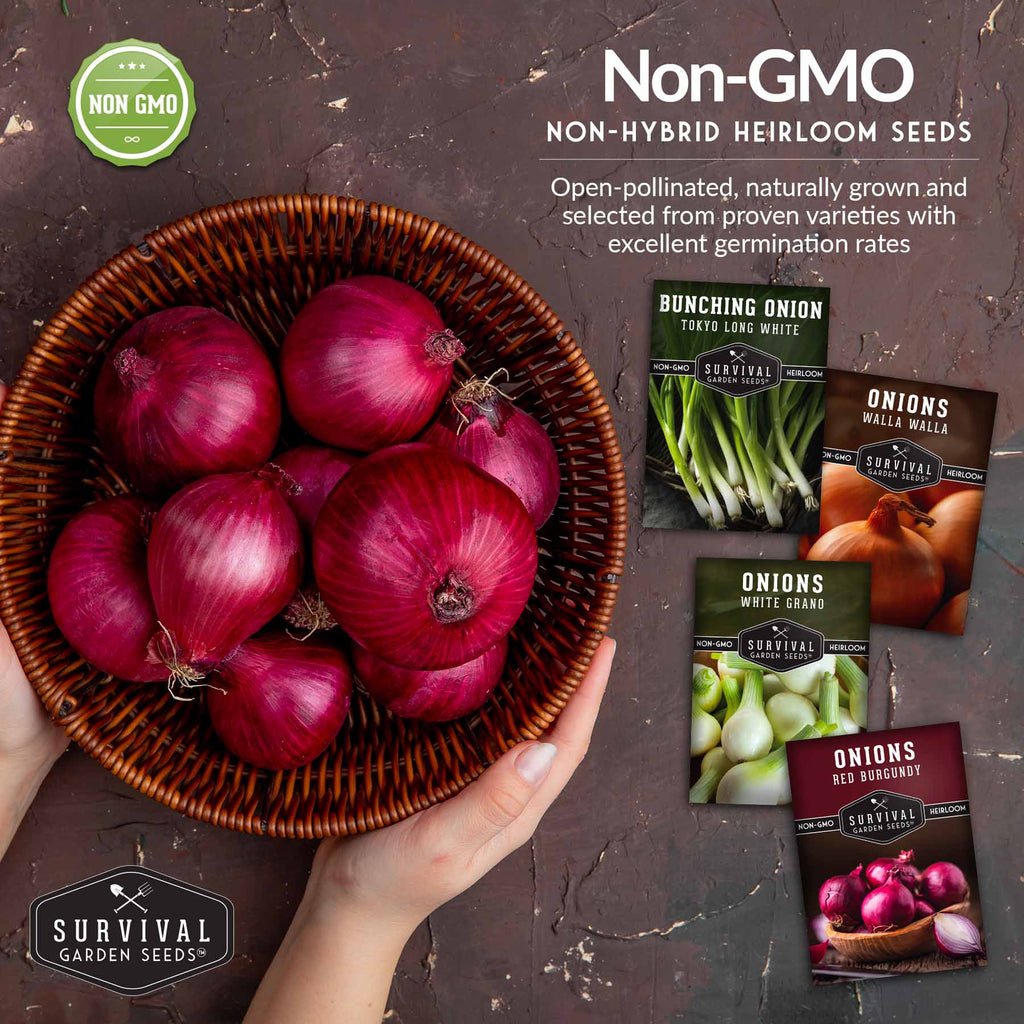 Onion Seed Collection – Red Burgundy, White Grano, Walla Walla & Tokyo Long White Bunching for Season-Long Flavor