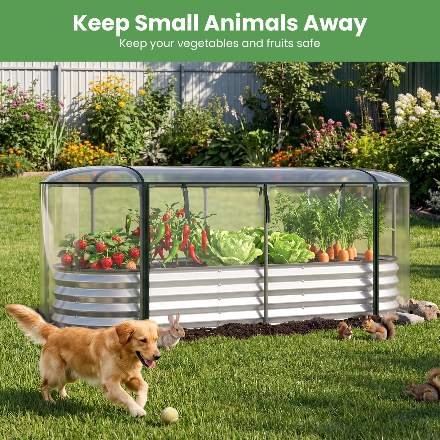 Outdoor Color Steel Raised Garden Bed with Greenhouse Cover Roll-up Window