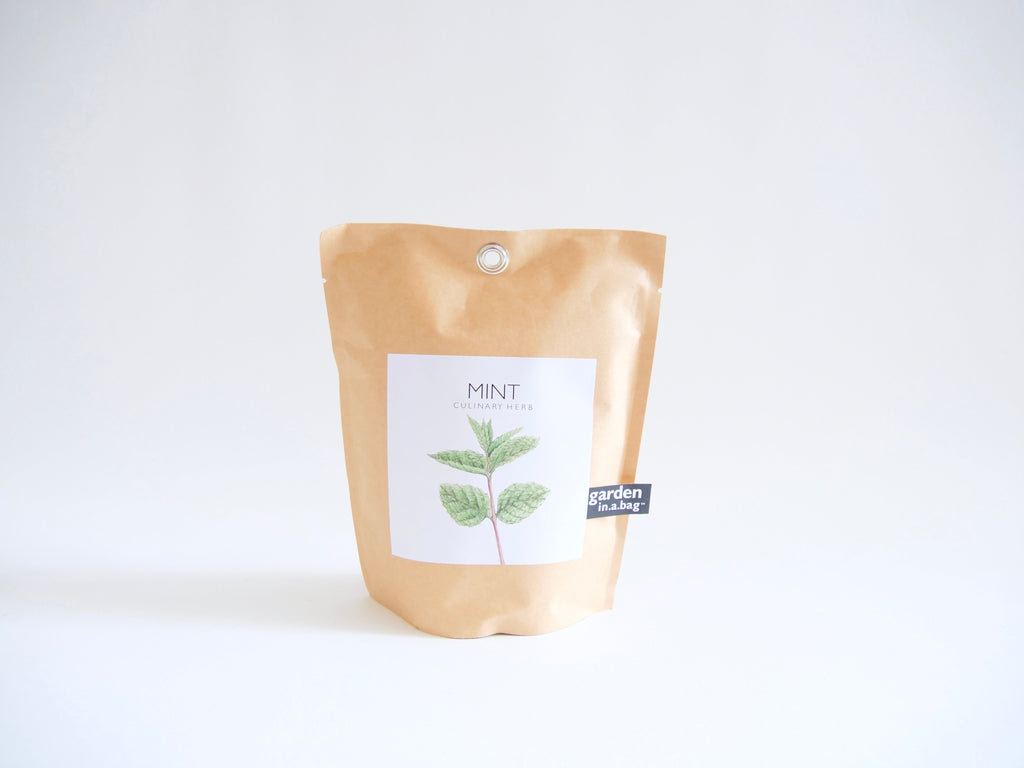 Garden in a Bag Kit with Soil, Seeds & Growing Bag (Assorted Year-Round)