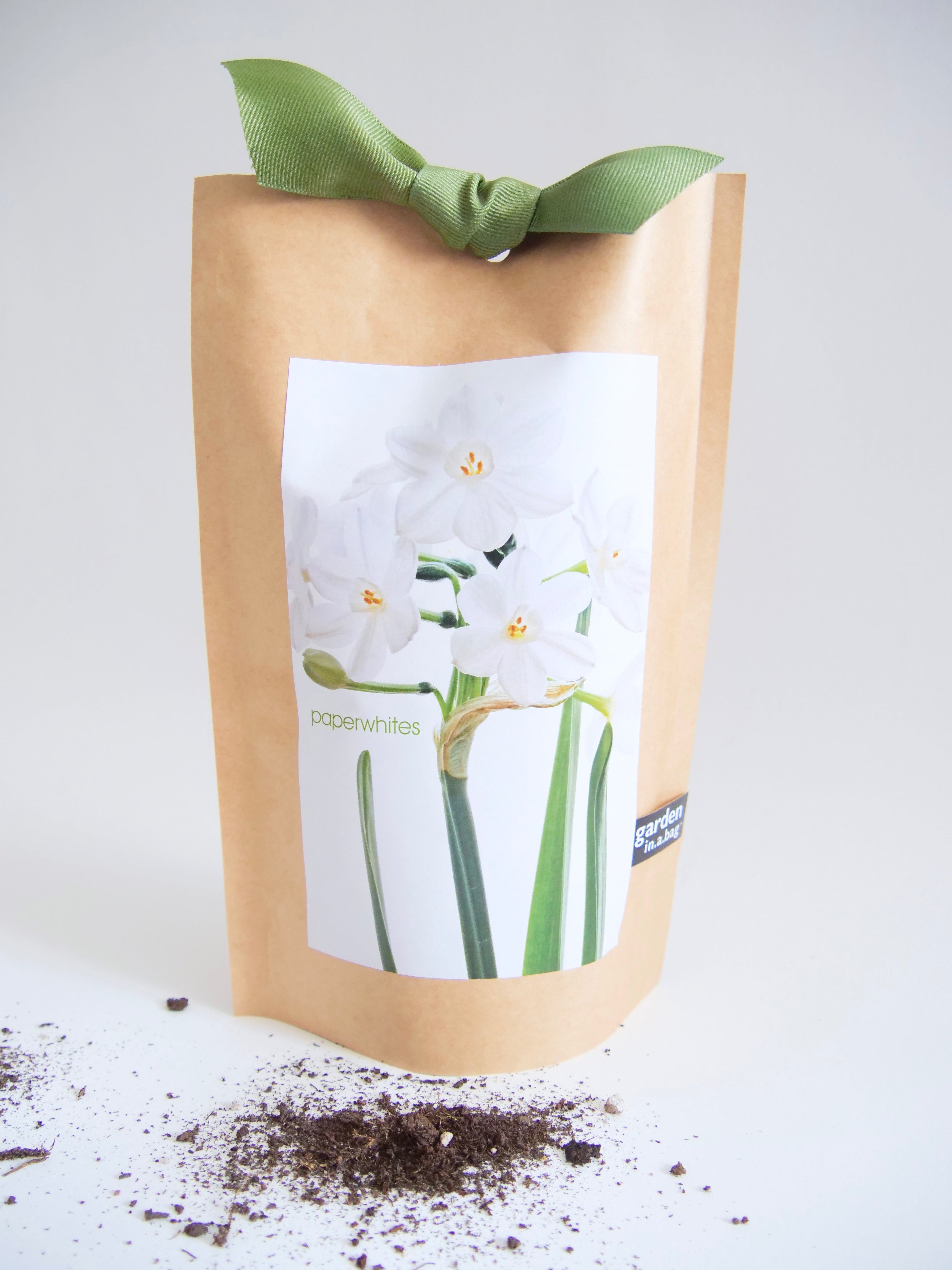 Garden in a Bag Kit with Soil, Seeds & Growing Bag (Assorted Year-Round)