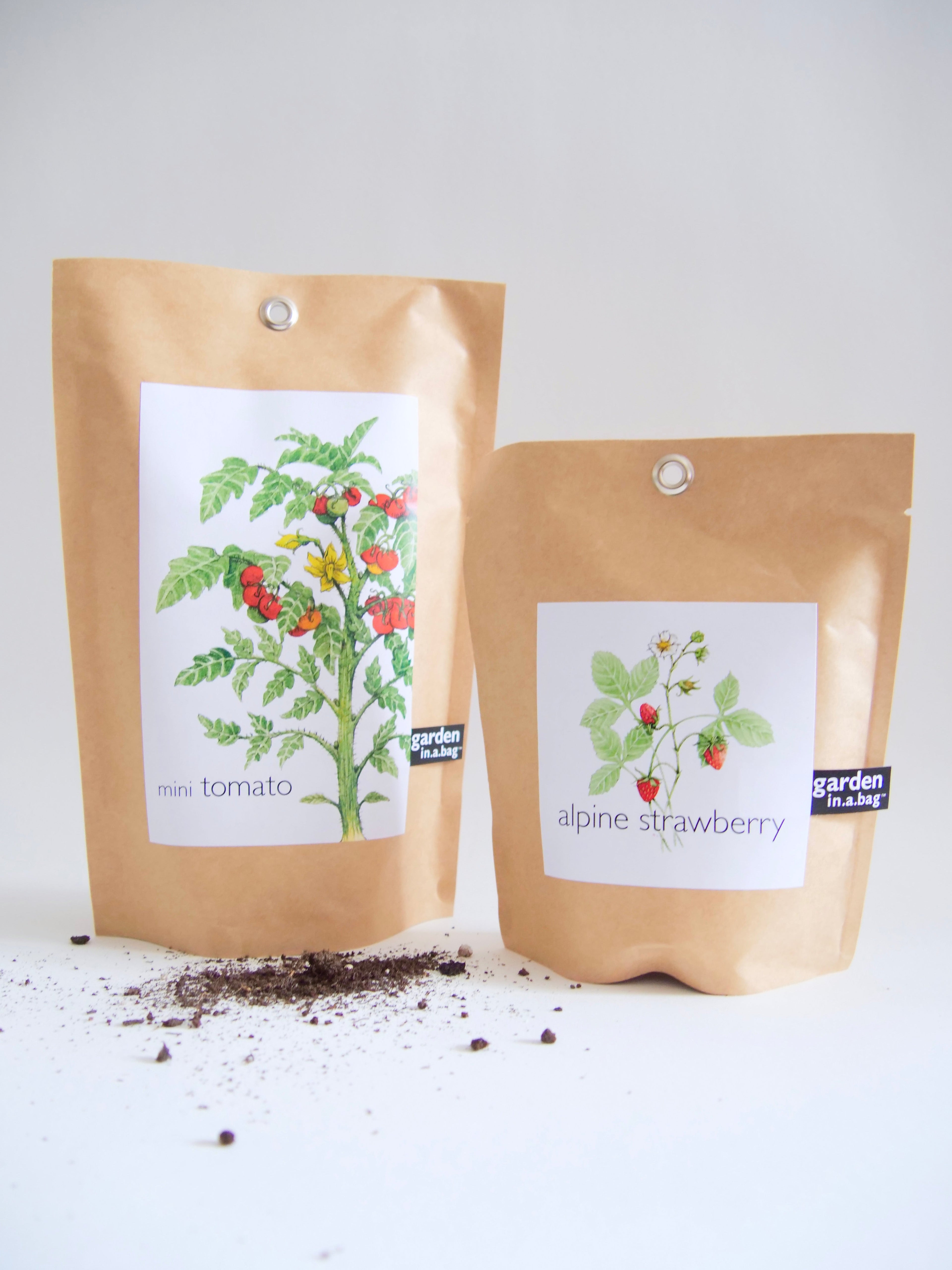 "Get Growing" Mindful Garden in a Bag Kit: Mindfulness Journal, Meditation Card + Growing Kit - (Assorted Year-Round)