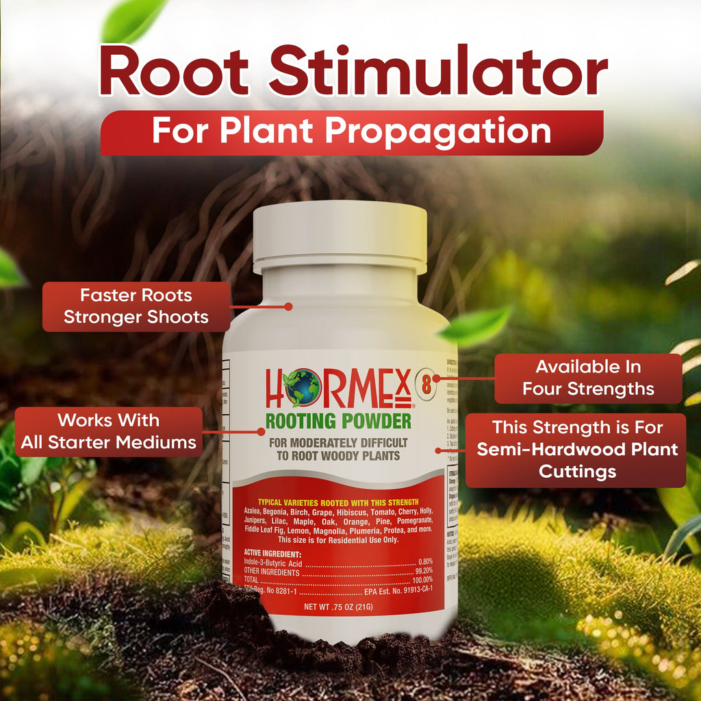 Hormex Rooting Powder #8 (0.80 IBA) - Rooting Hormone for Semi-Hardwood Houseplants, Medicinal & Tree Cuttings