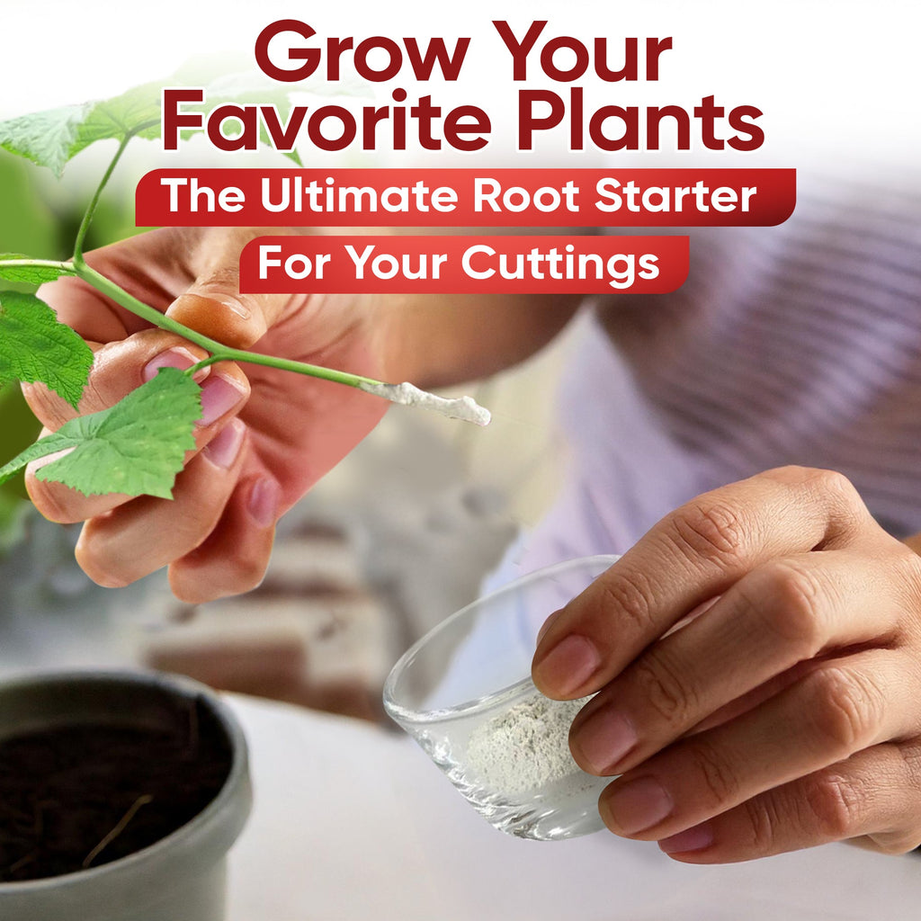 Hormex Rooting Powder Pack #1, 3, 8 - Rooting Hormone for Delicate and Common Houseplants to Semi-Hardwood, Medicinal Plants and Tree Cuttings