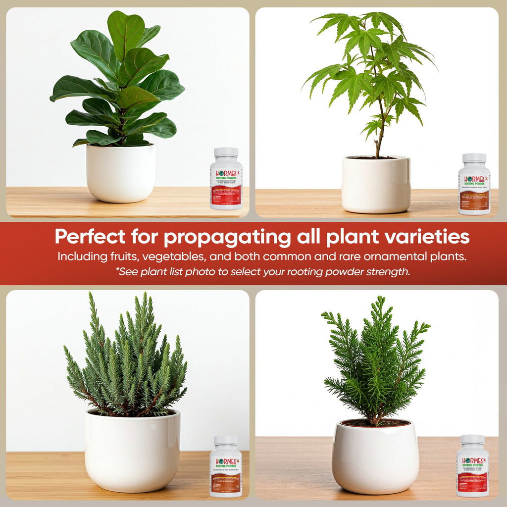 Hormex Rooting Powder #8 & 16 - Rooting Hormone for Semi-Hardwood Home and Garden Plants to Very Difficult Hardwood, Medicinal and Tree Cuttings