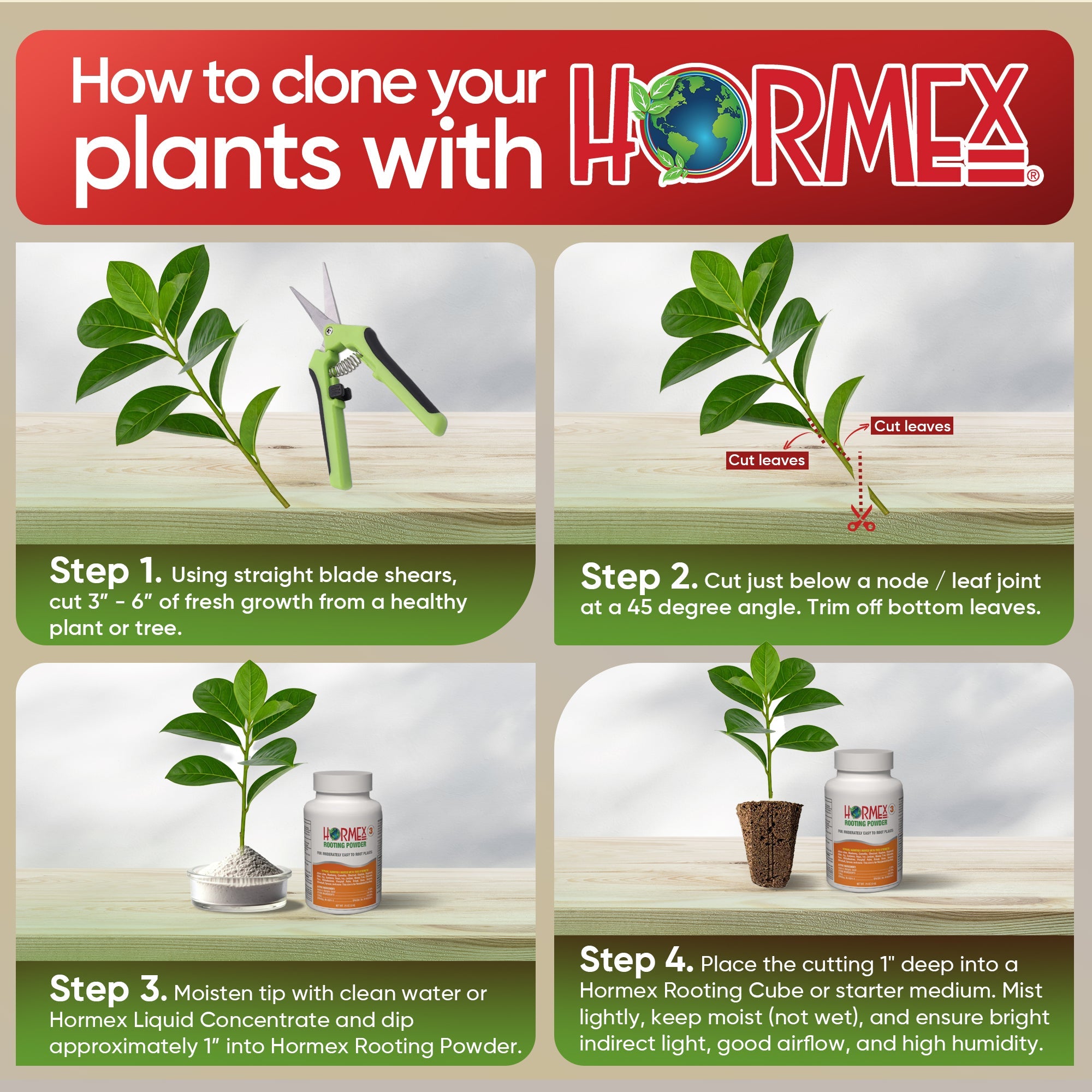 Hormex Rooting Powder #3 (0.30 IBA) - Rooting Hormone for Common Home & Garden Plant Cuttings