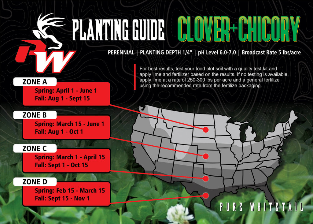Clover + Chicory Food Plot Seed
