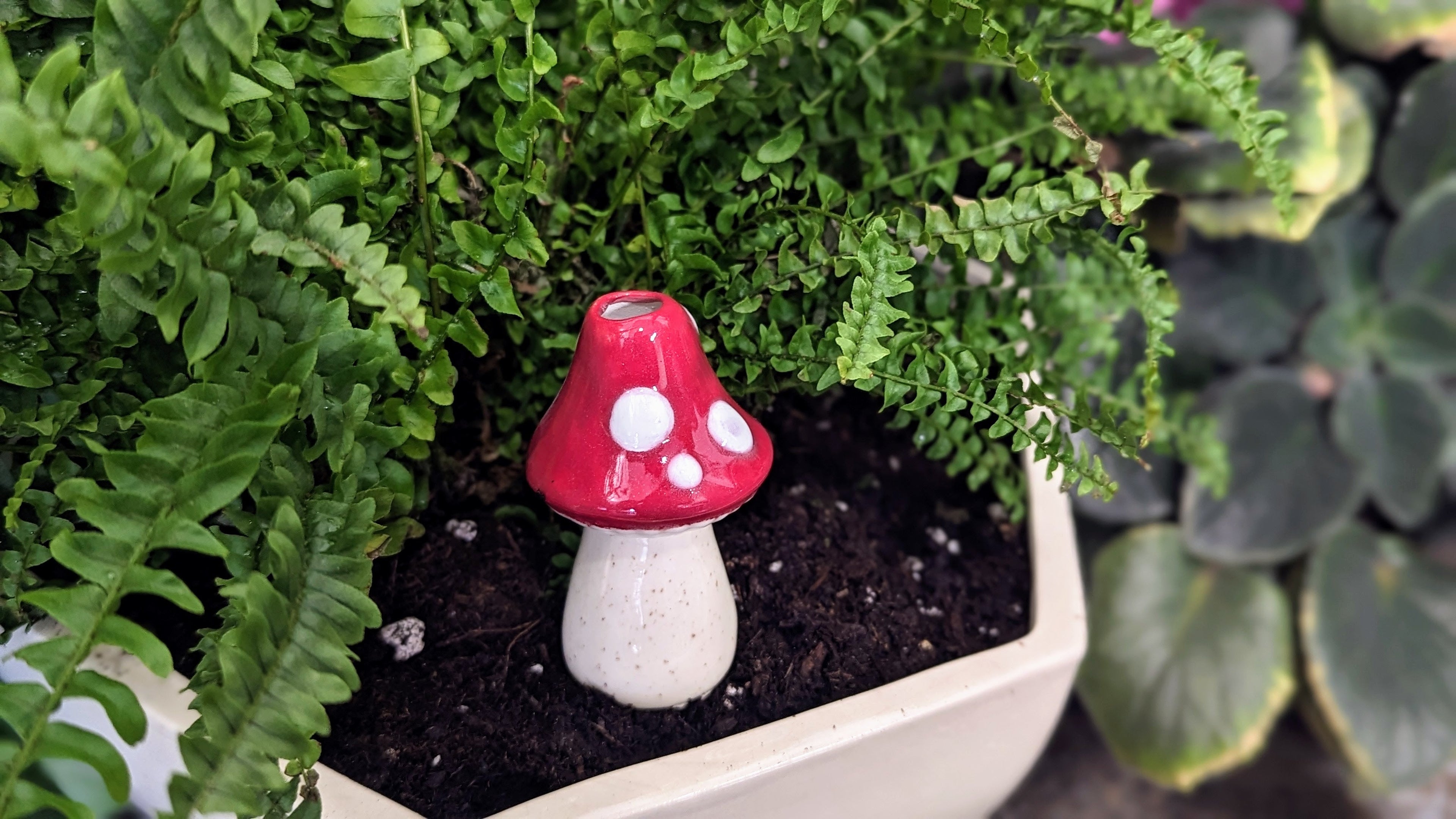Small Toadstool Watering Spike