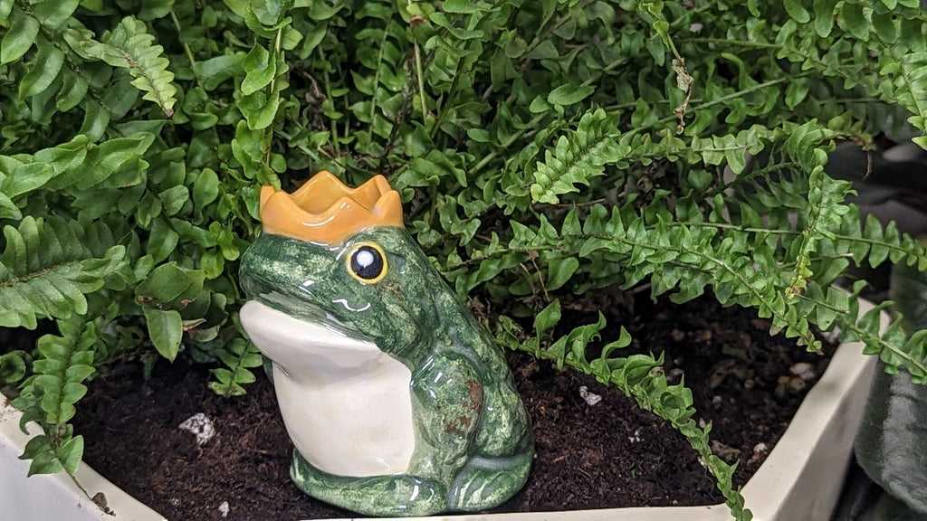 Prince Frog Watering Spike