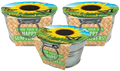 Pail of Sunshine - Grow Your Own Sunflowers Multipack of 3