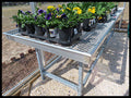 Commercial Grade Plant Tables