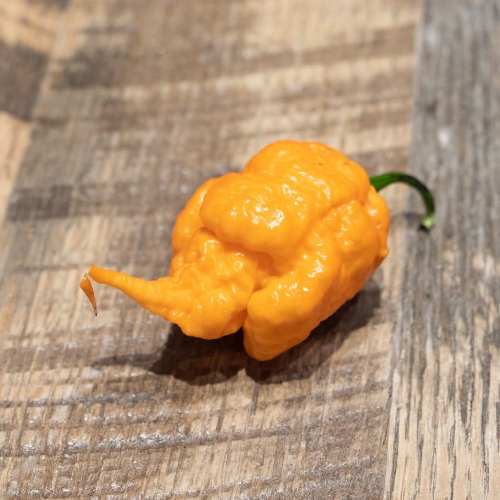California Reaper (Peach Reaper) Pepper Seeds