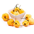 Peach Habanero Pepper Seeds