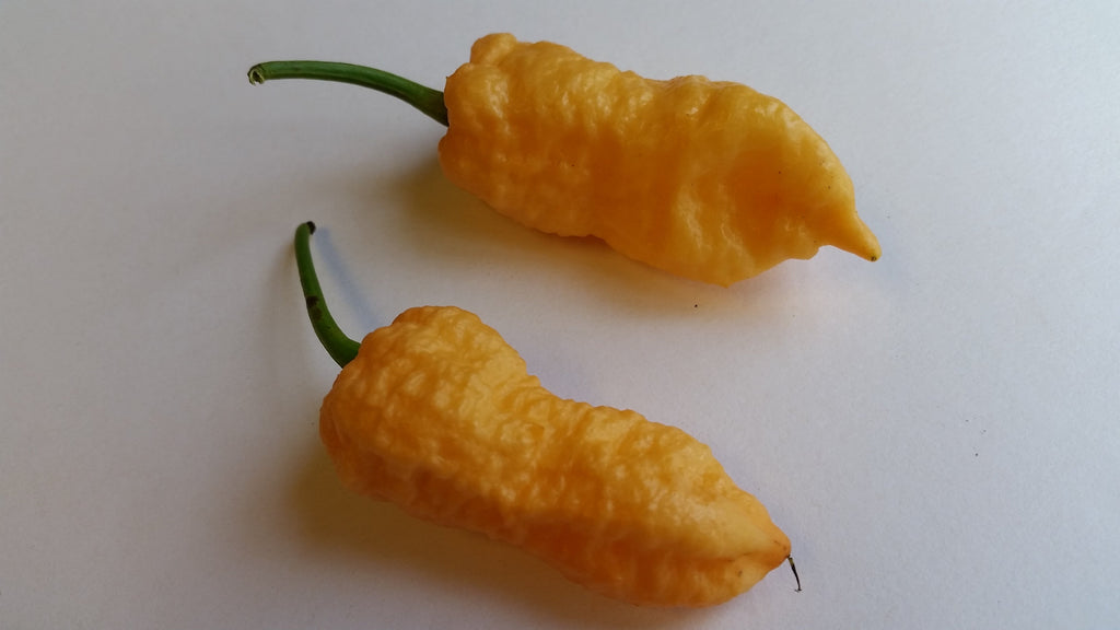 Peach Bhut Jolokia Ghost - Seeds