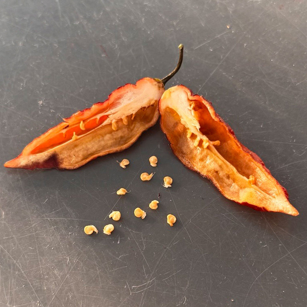 Pink Tiger X Peach Bhut Chili Pepper Seeds