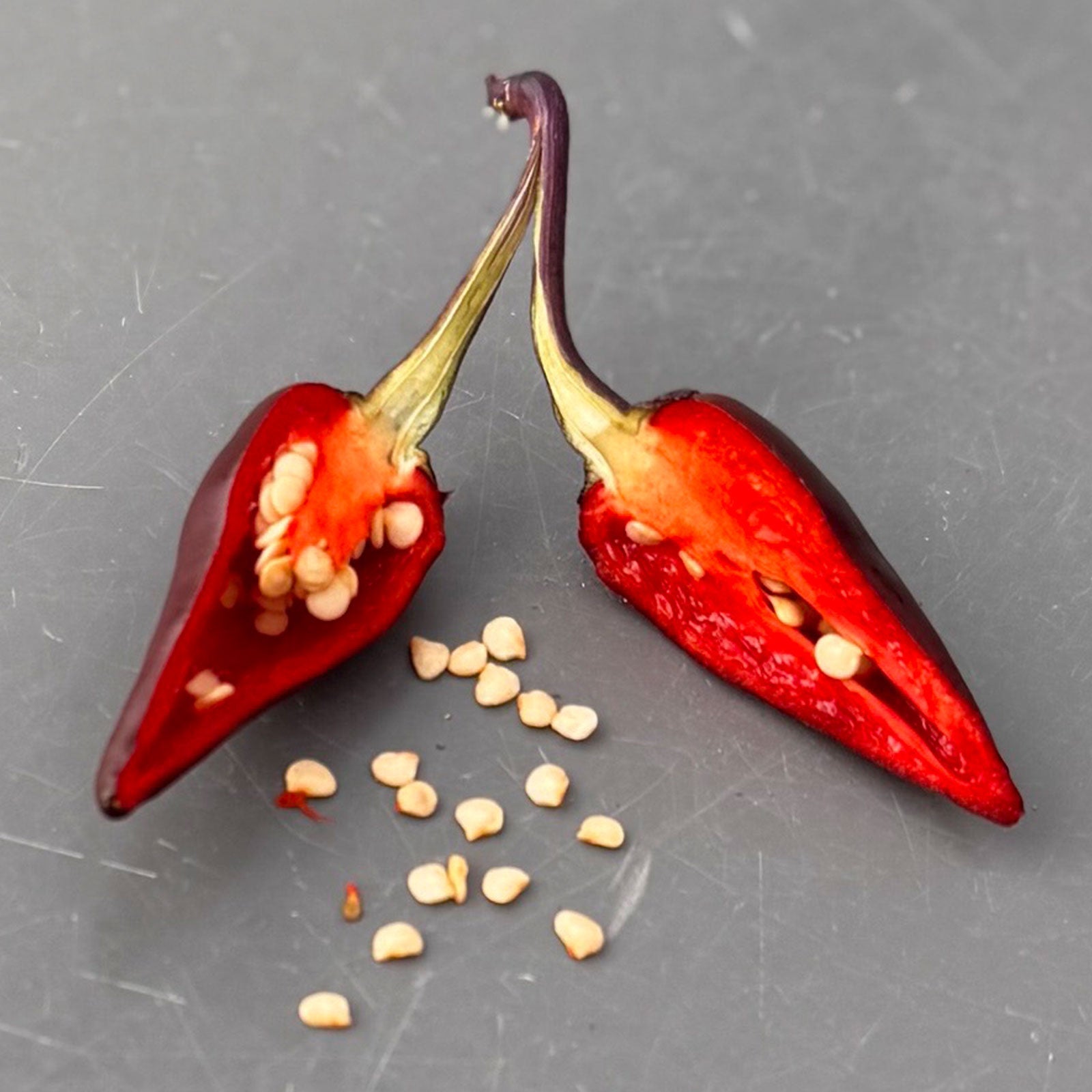 Purple Jalapeno Pepper Seeds