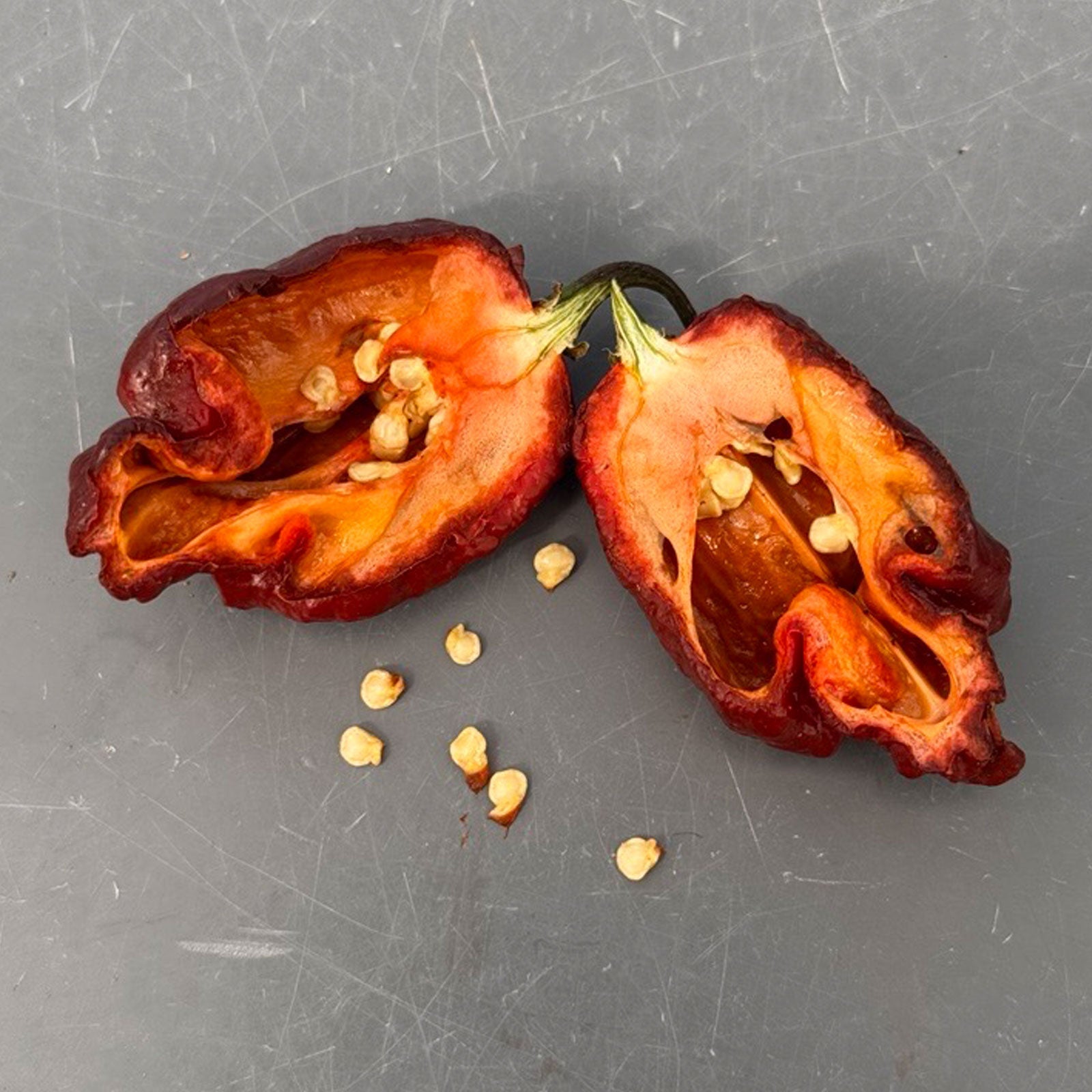 Purple Carolina Reaper Pepper Seeds