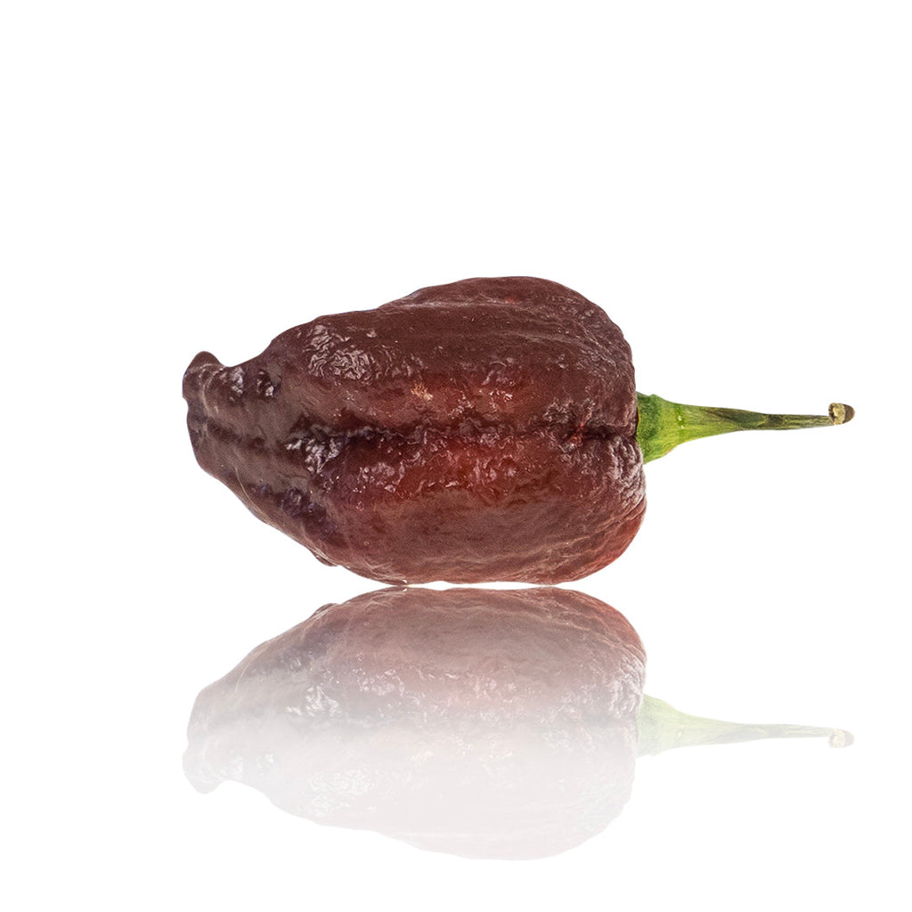 Purple Carolina Reaper Pepper Seeds