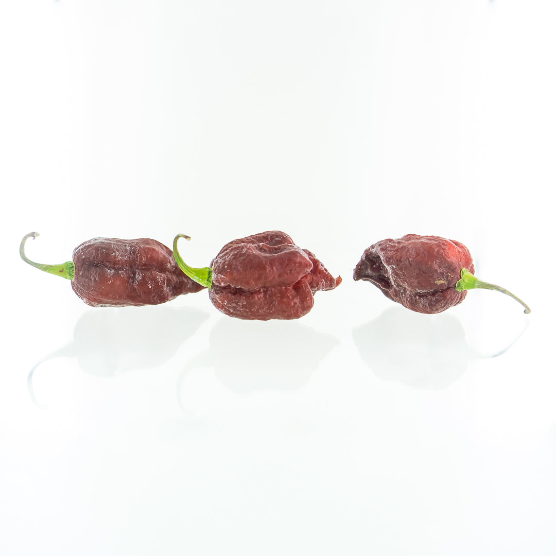 Purple Carolina Reaper Pepper Seeds