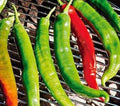 Italian Roaster Pepper Seeds