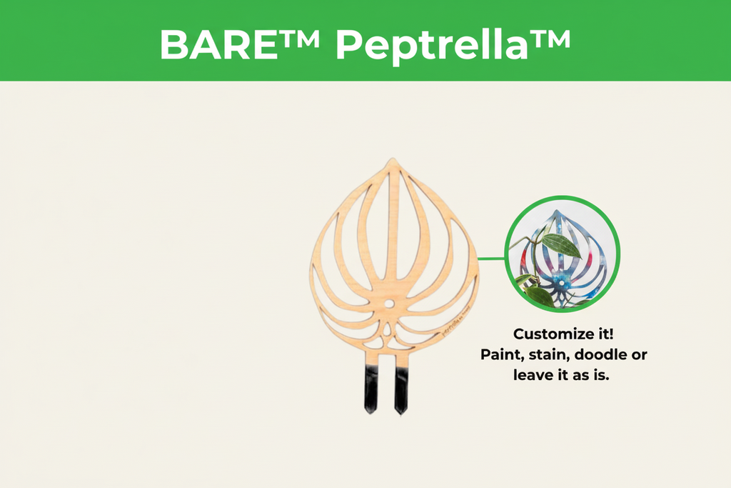 BARE™ Peptrella™ - Customizable wooden plant support - Inspired by the Peperomia leaf