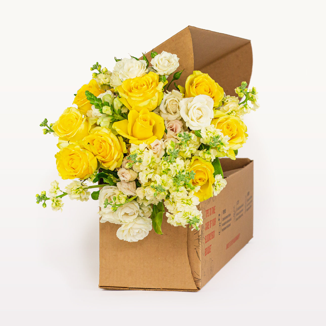 Pet-Safe Blooms