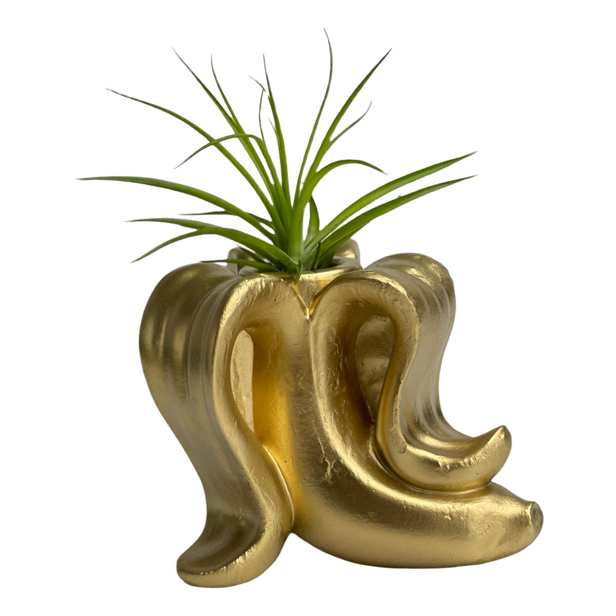 Banana Air Plant Holder