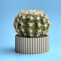 Scandinavian Air Plant Holder | Succulent Planter
