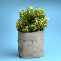 Paper Bag Succulent Planter Pot