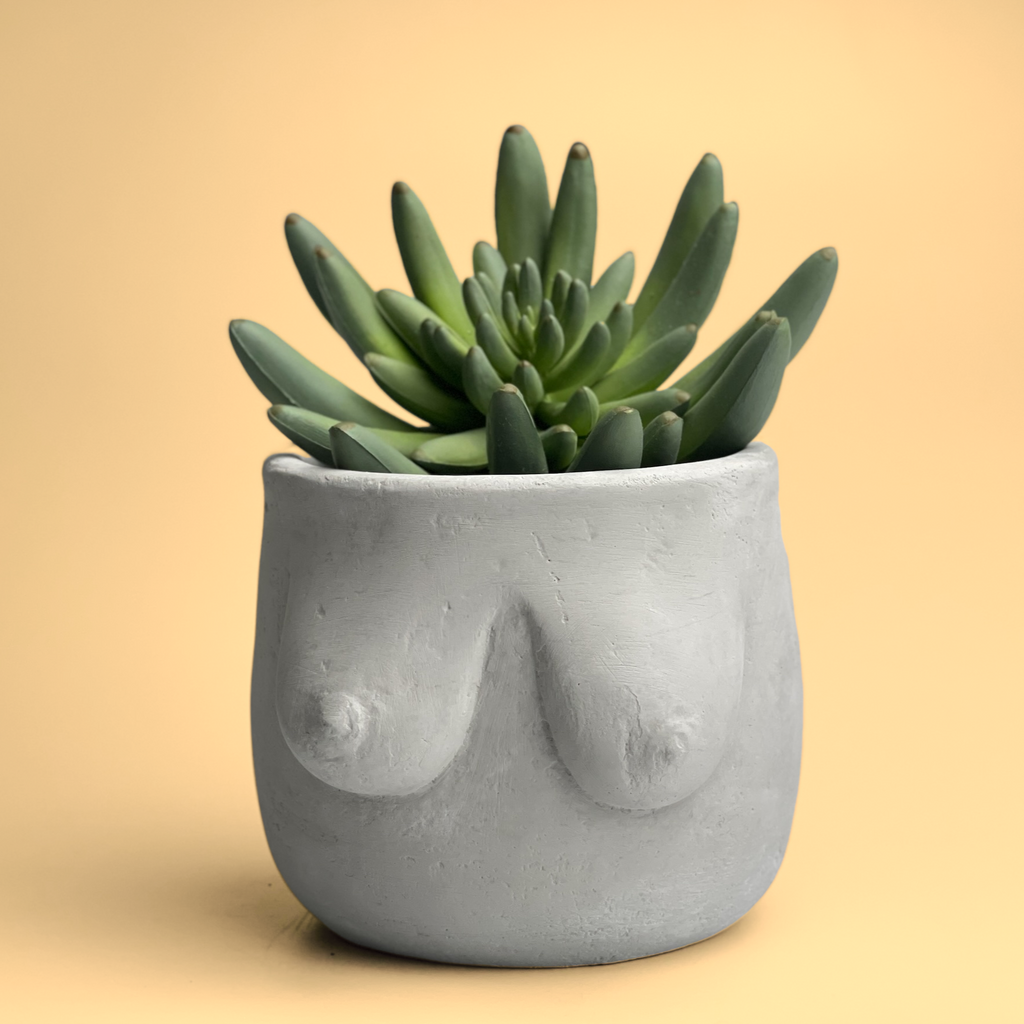 Boobs Planter | Woman Body Pot