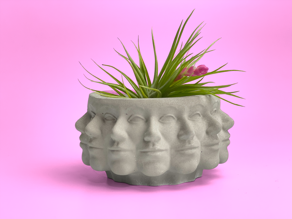 Multi Face Succulent Planter
