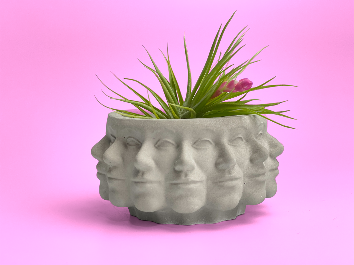 Multi Face Succulent Planter