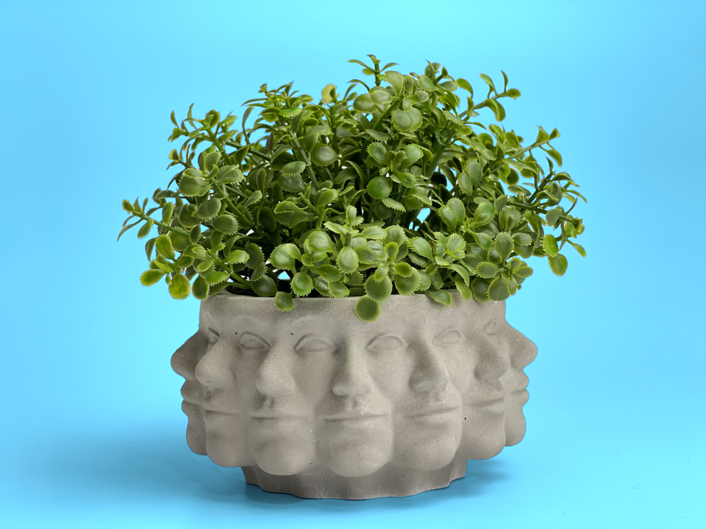 Multi Face Succulent Planter