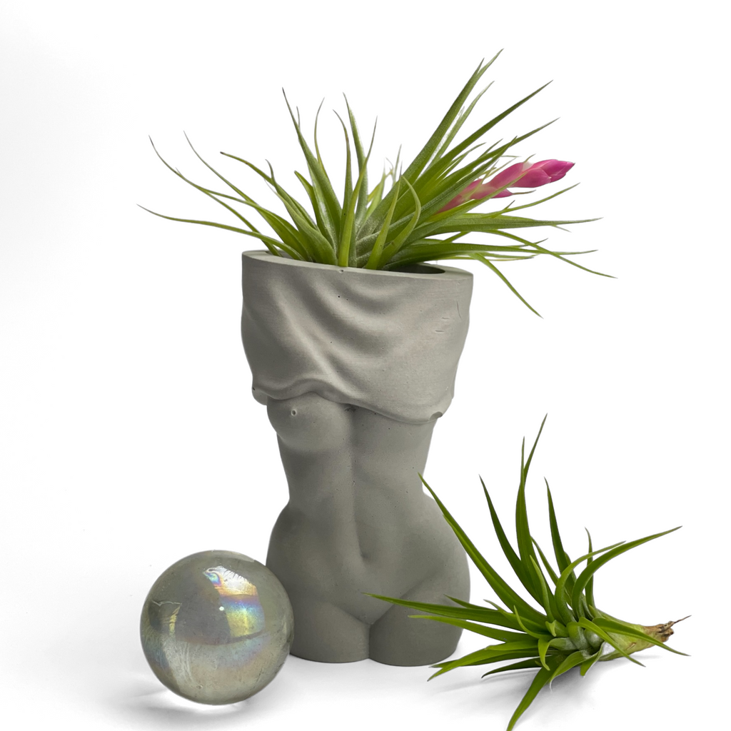 Female Body Vase | AIR PLANT HOLDER