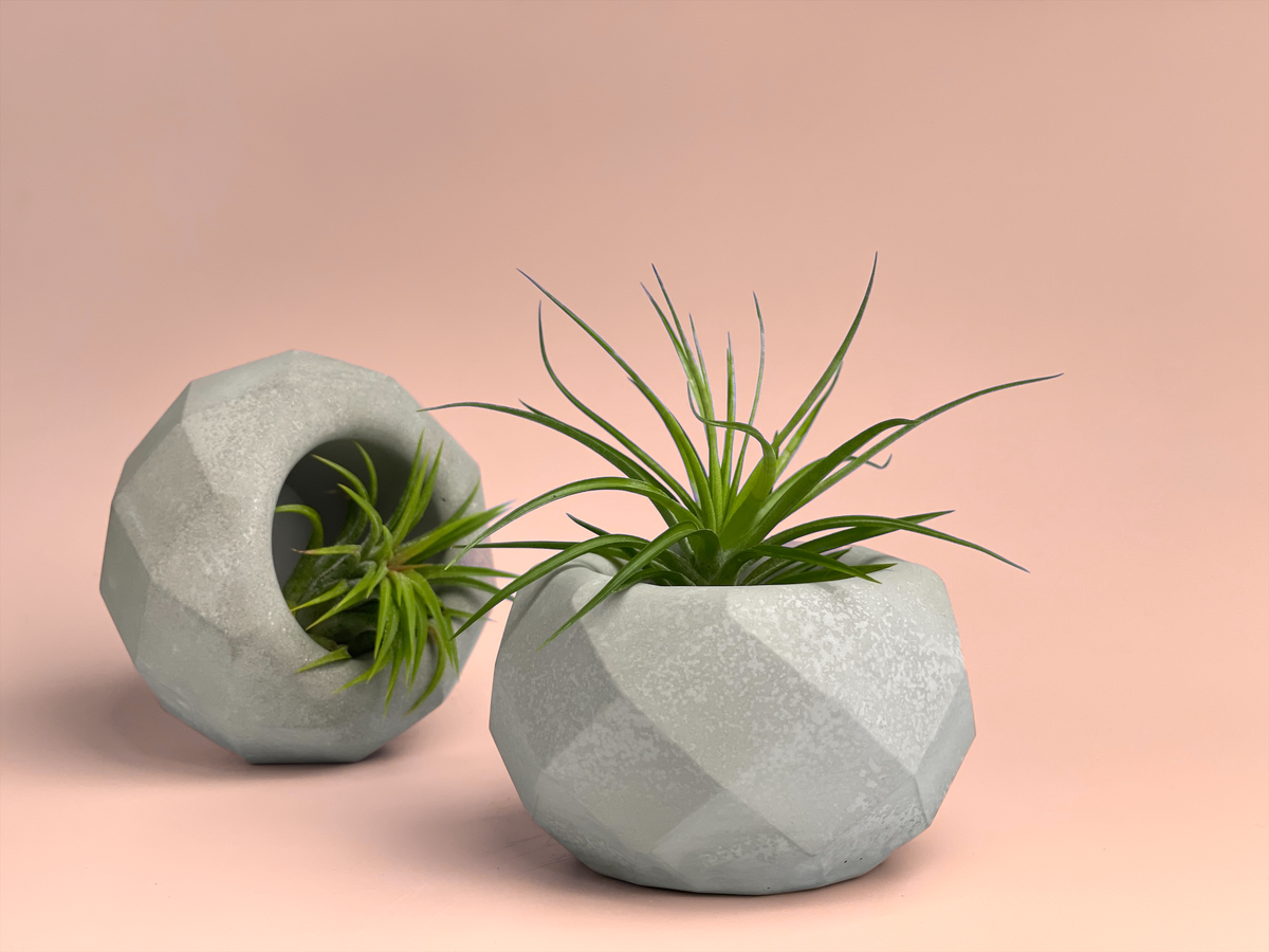 Geometric Air Plant Holder
