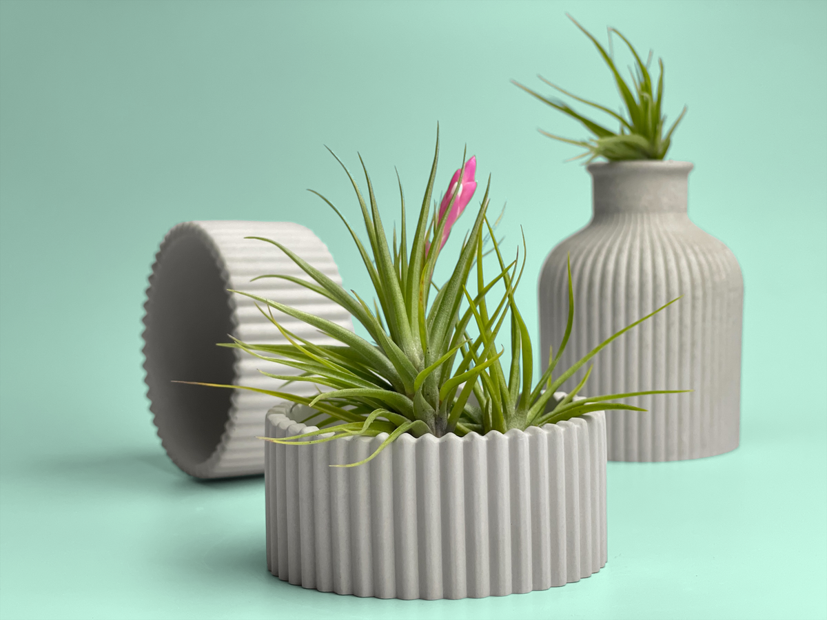 Scandinavian Air Plant Holder | Succulent Planter