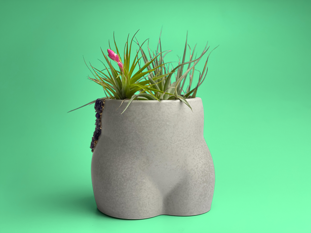 Amethyst Butt Planter
