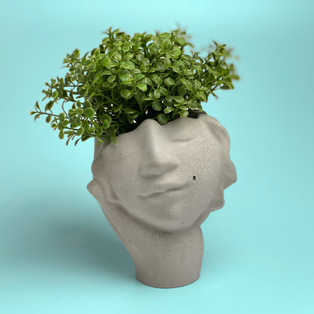 Face Succulent Planter on Hand
