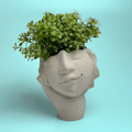 Face Succulent Planter on Hand
